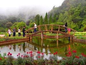 Doi Inthanon 3 Doi Inthanon National Park. Foto di Morgan Miller.