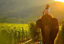 Monsoon Valley Winery